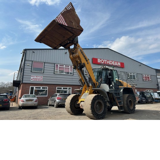 2015 LIEBHERR L550 in Loaders